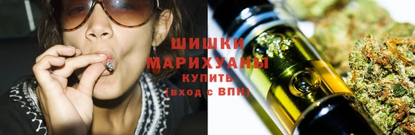 шишки Баксан