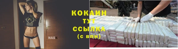 шишки Баксан