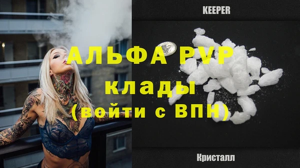 шишки Баксан