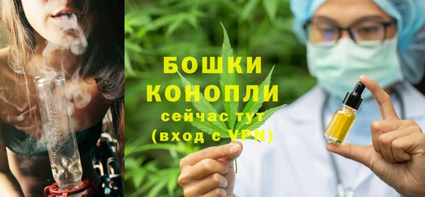 шишки Баксан