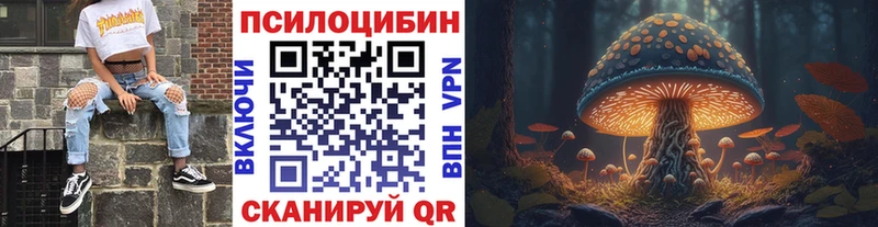 Псилоцибиновые грибы прущие грибы Бежецк