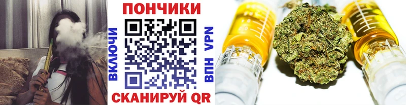 где найти   Бежецк  Бошки Шишки ГИДРОПОН 